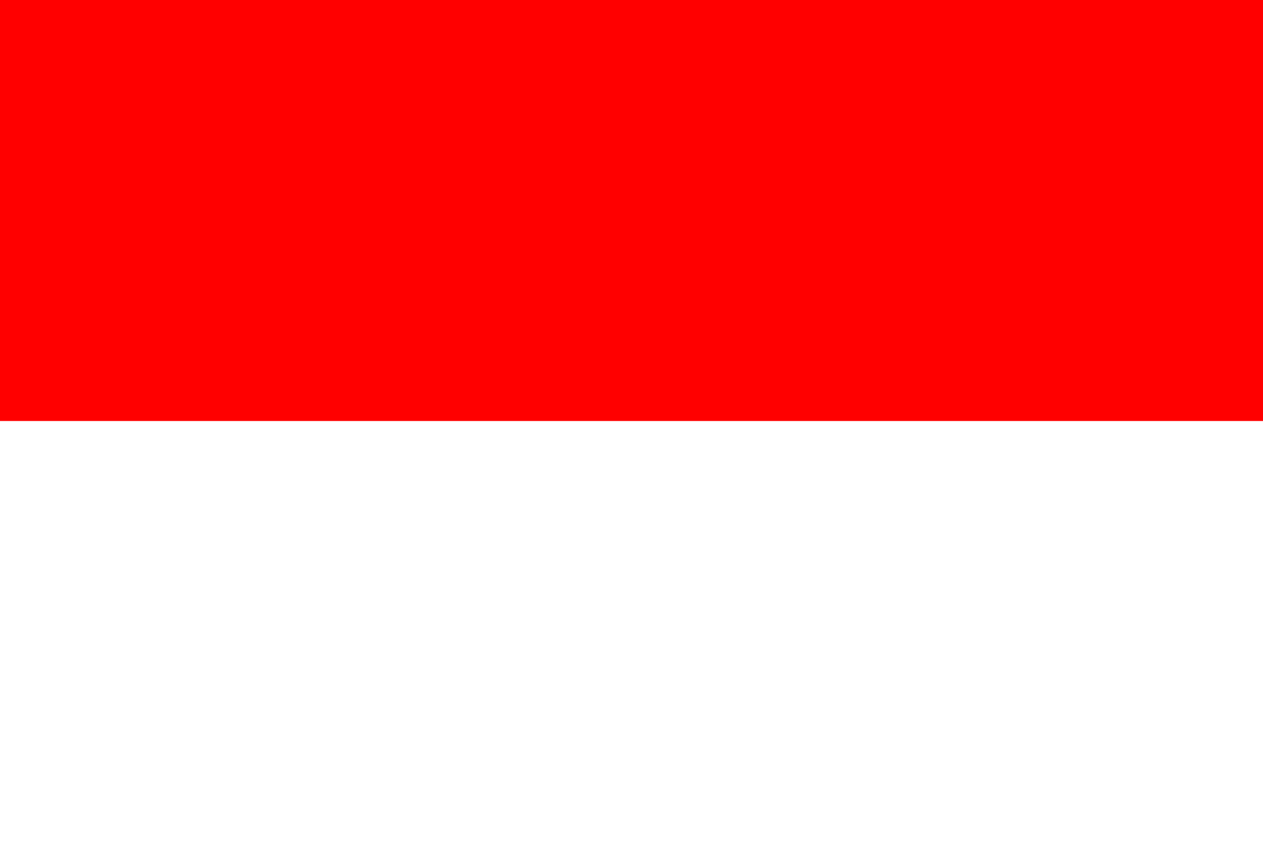 Rexello- Indonesia flags